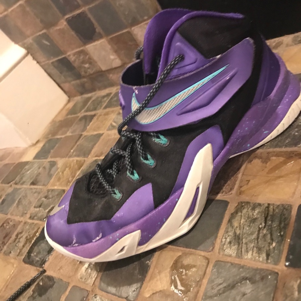 Nike Lebrons basketball shoe